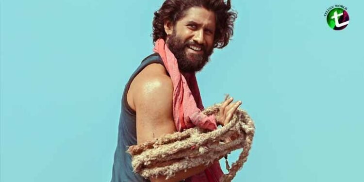 Naga Chaitanya Shares A Picture From His Prestigious Project Thandel,Sai Pallavi,Chandoo Mondeti,Film News,Latest Telugu Movies,Telugu World Now