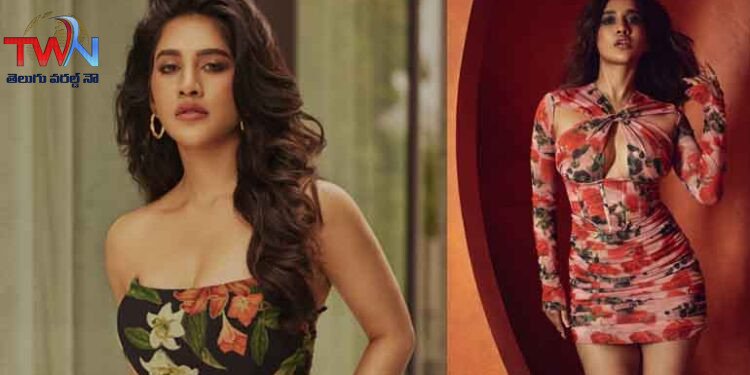 I did my dream role in 'Darling'. Darling will entertain the audience with fun, love, family drama and thrilling elements,Heroine Nabha Natesh Interview, Film News,Latest Telugu Movies,Telugu World Now